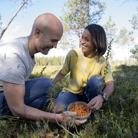 Ounasvaaran Lakituvat