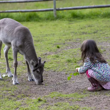 Dom wakacyjny Ounasvaaran Lakituvat *