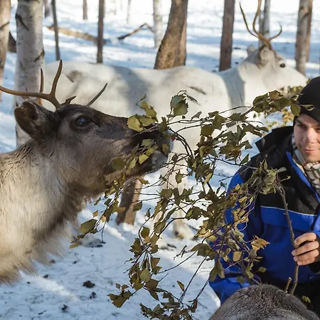 Ounasvaaran Lakituvat *