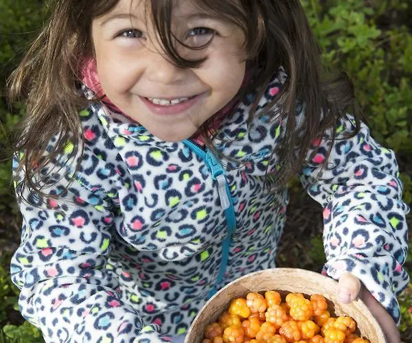 Ounasvaaran Lakituvat * Rovaniemi