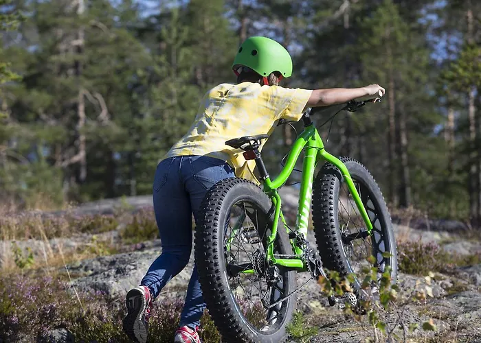 Ounasvaaran Lakituvat Holiday home Rovaniemi