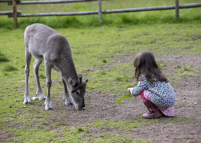 Holiday home Ounasvaaran Lakituvat *