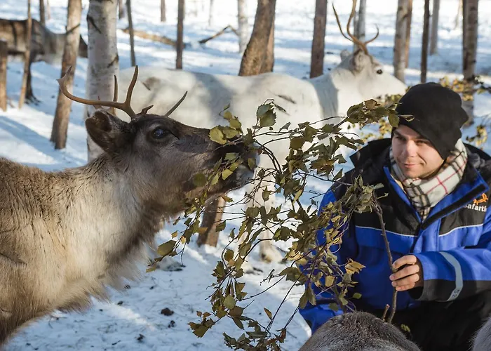 Ounasvaaran Lakituvat *