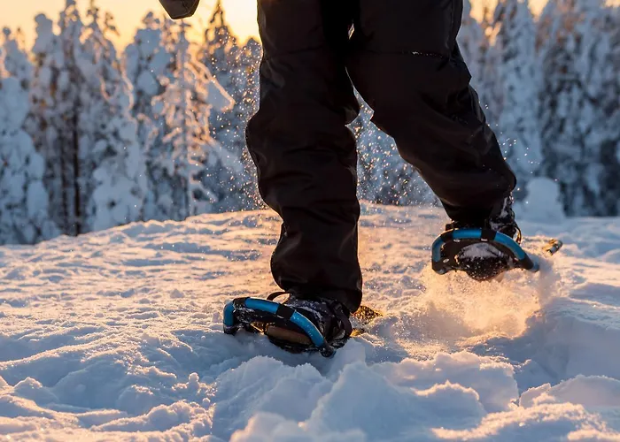 Ounasvaaran Lakituvat Rovaniemi