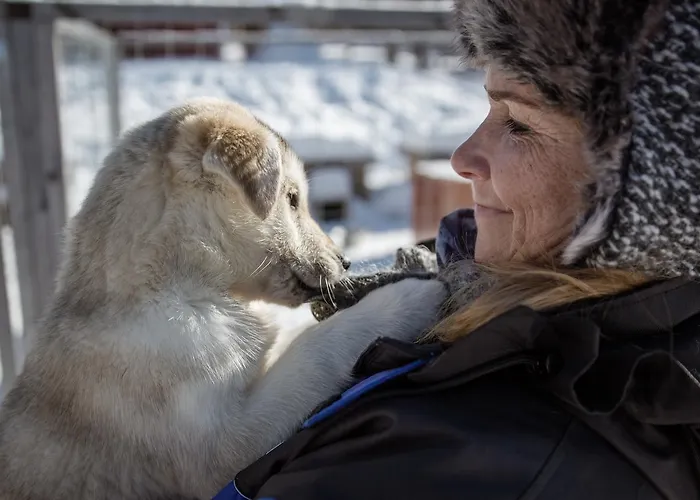 Holiday home Ounasvaaran Lakituvat *